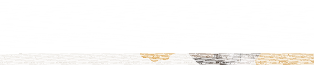 Aktion