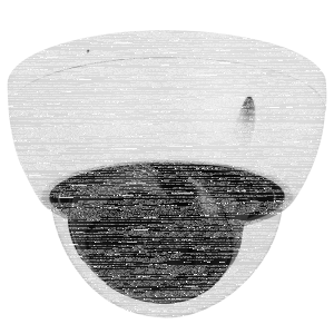 GOLIATH Starlight IP Dome Kamera | 4 MP | 2.8mm | WDR | 30m IR | SMD+ | Mikro | PoE | SMART Serie