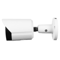 GOLIATH Starlight IP Kamera | 4 MP | 2.8mm | WDR | 30m IR | SMD+ | Mikro | App | PoE | SMART Serie
