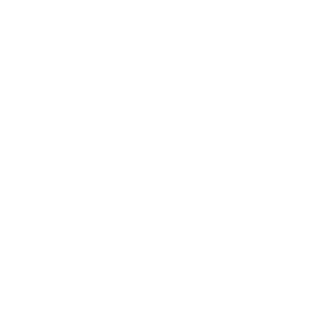 GOLIATH Starlight IP Kamera | 8 MP | 2.8mm | WDR | 30m IR | SMD+ | Mikrofon | PoE | 4K Dual Serie