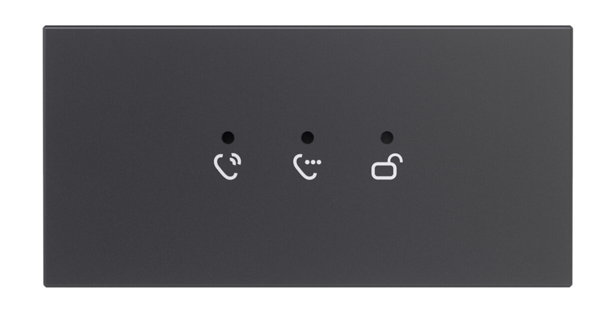 GOLIATH PRO IP & 2-Draht Video T&uum box