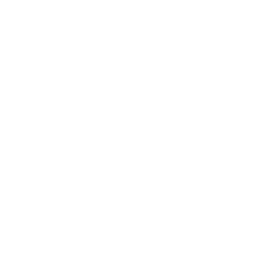 GOLIATH Starlight IP Dome Kamera | 8 MP | Motorzoom | WDR | 40m IR | SMD+ | Mikro | PoE | 4K Serie