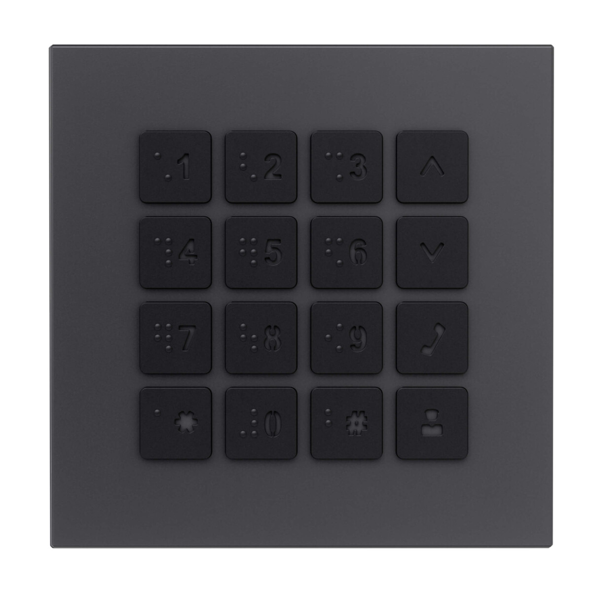 GOLIATH PRO IP & 2-Draht Video T&uum box